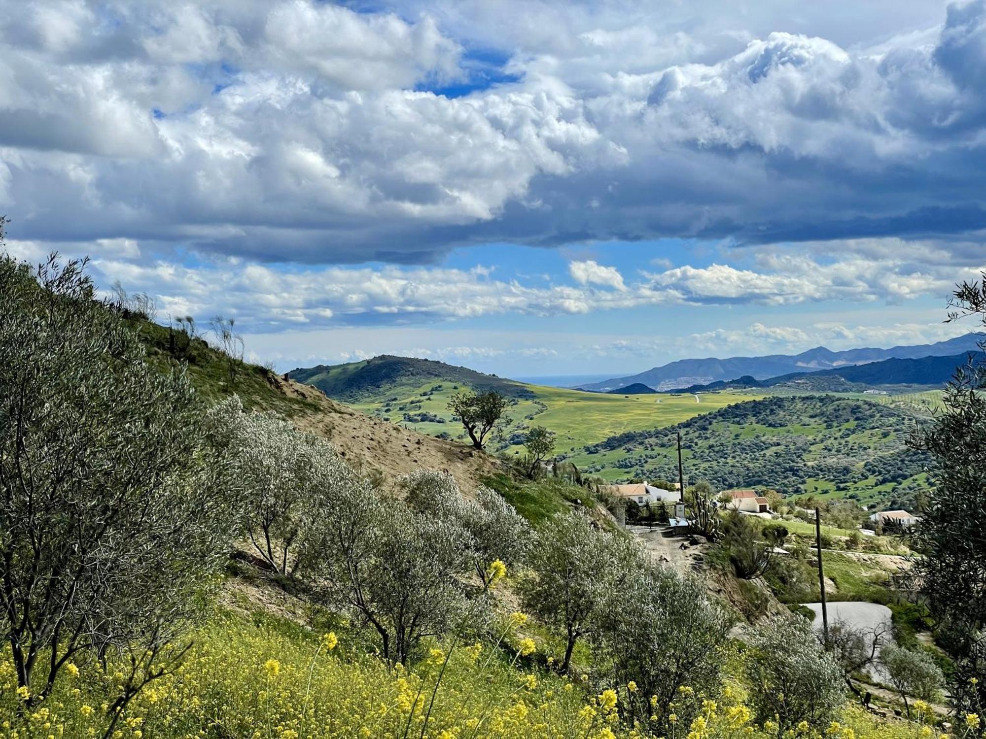 Finca El Sueno Andaluz Вильянуэва-де-ла-Консепсьон Экстерьер фото