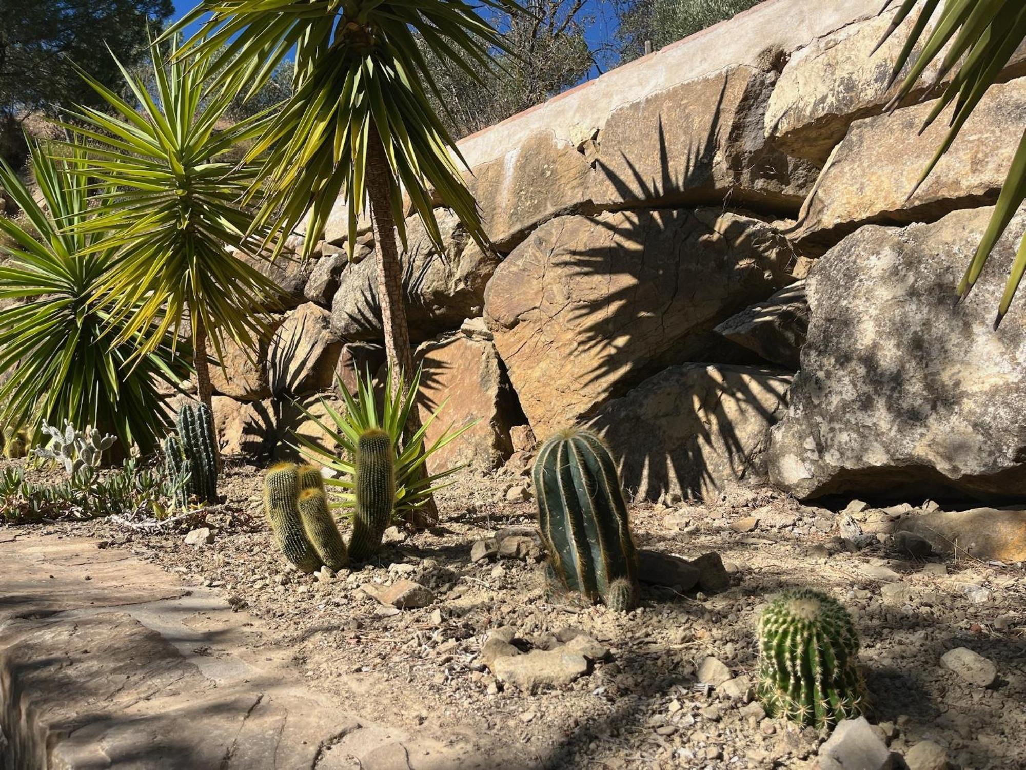 Finca El Sueno Andaluz Вильянуэва-де-ла-Консепсьон Экстерьер фото